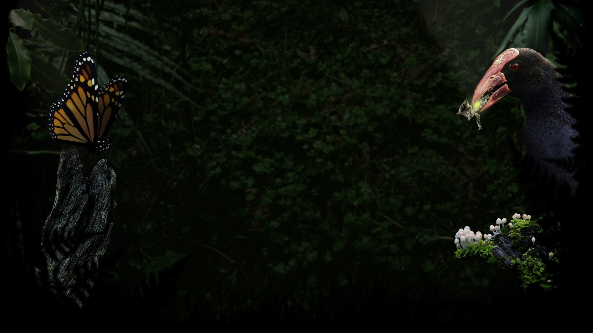 Hunter and the Hunted