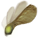 :helicopterseed: