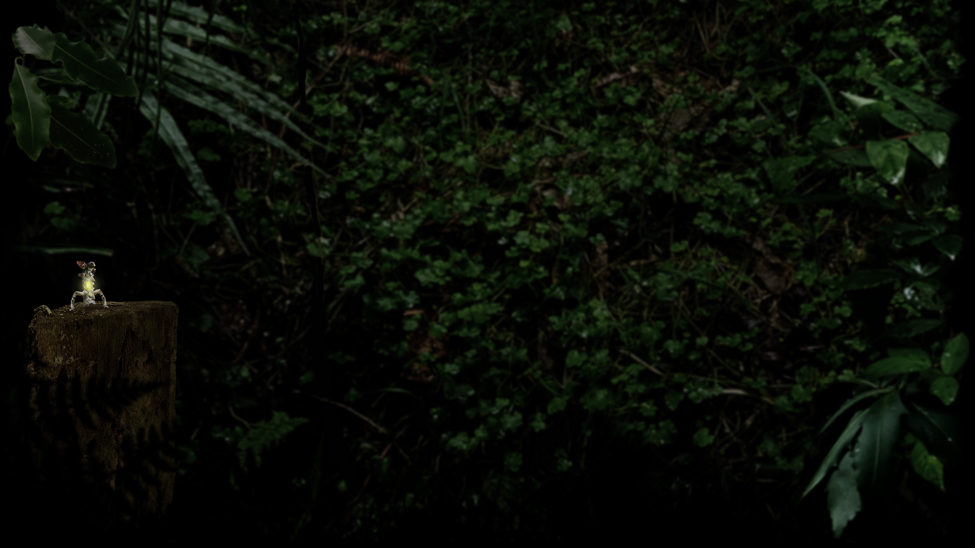 The sentient sapling