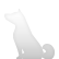 :shiba: