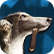 :libertedog: