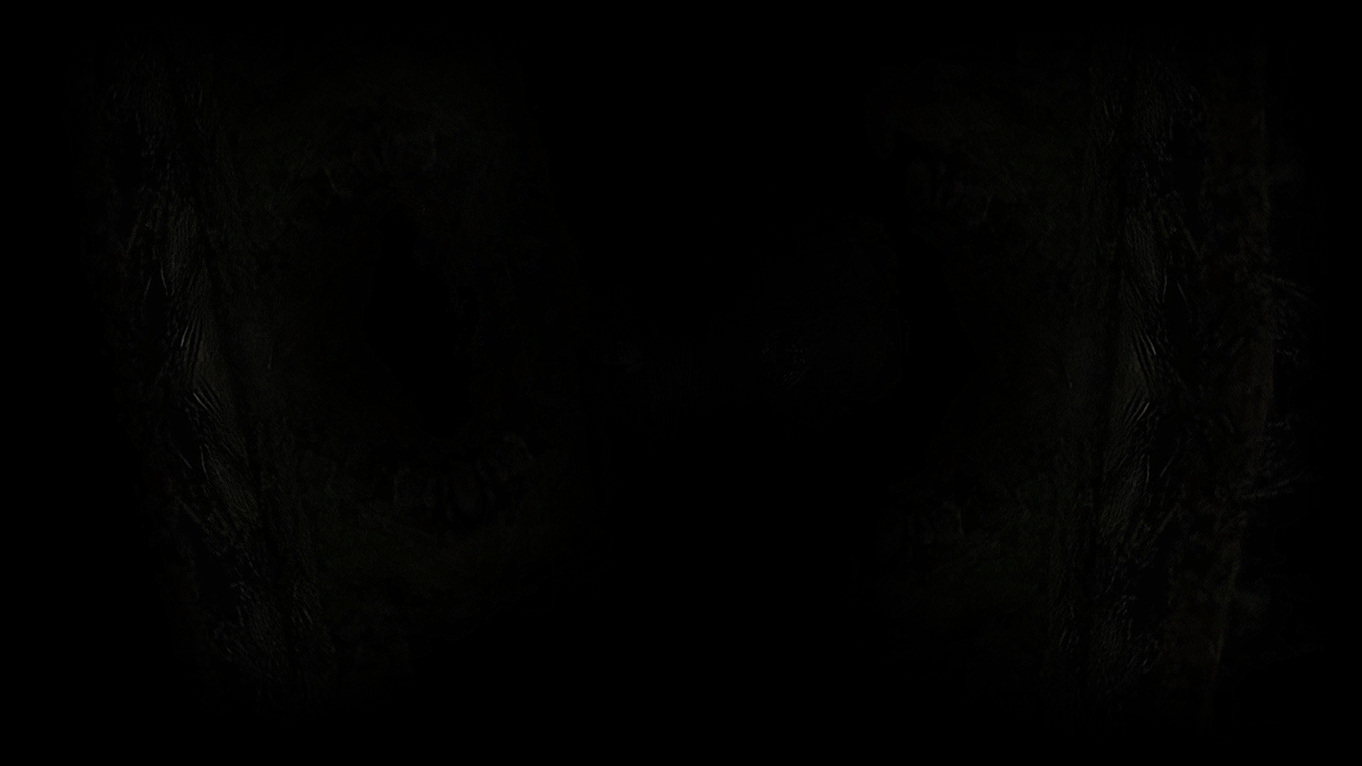 Into the Darkness