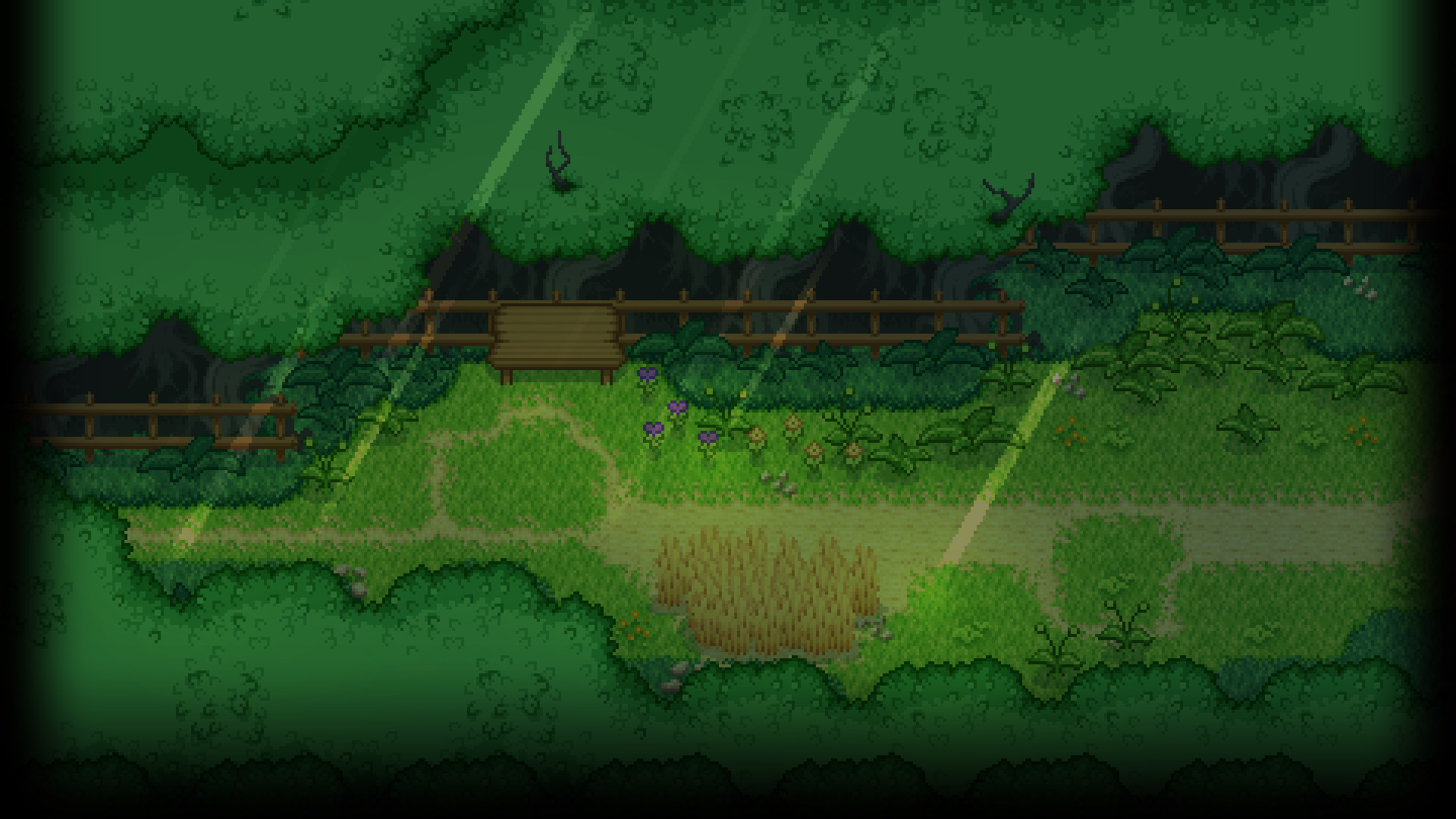 Forest District