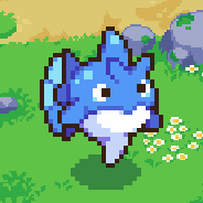 Shark