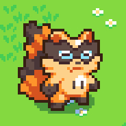 Raccoon