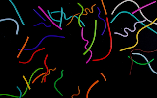 Worms