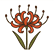:berglycoris: