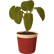 :STPlant: