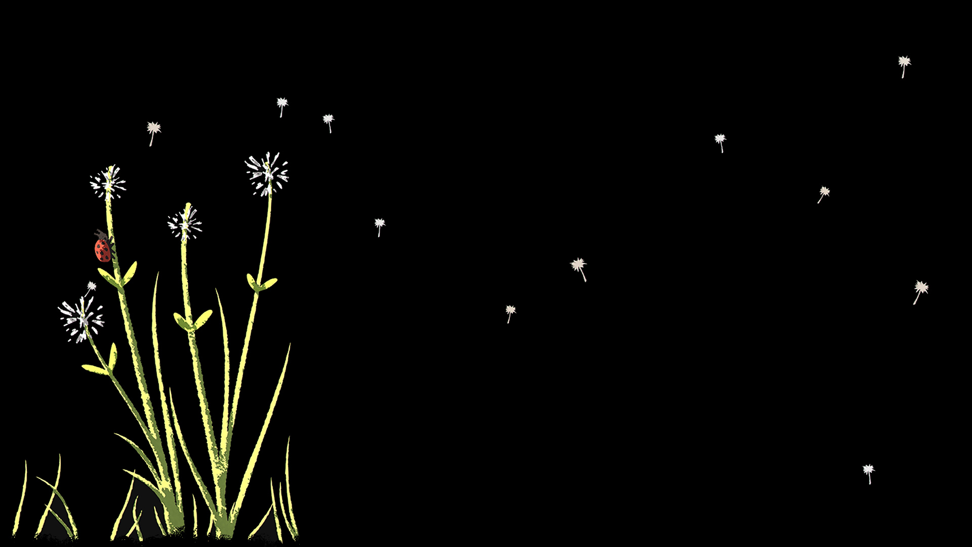 NAIAD Dandelion