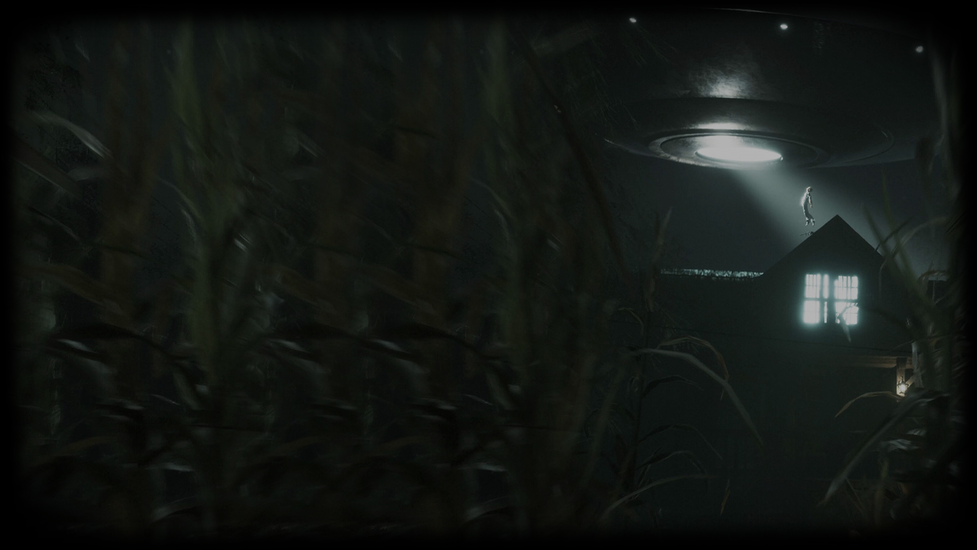 Alien Abduction