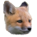 :foxpup: