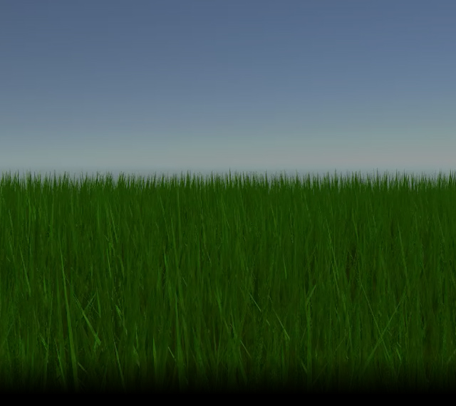 Swaying Grass
