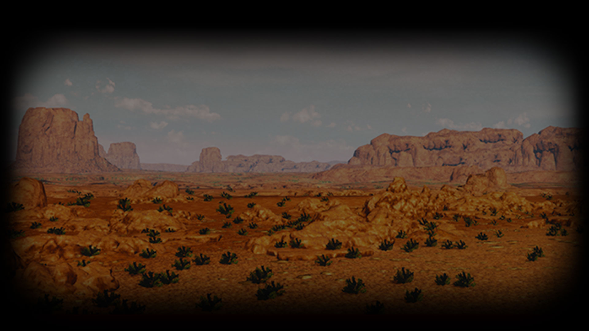The Wild West