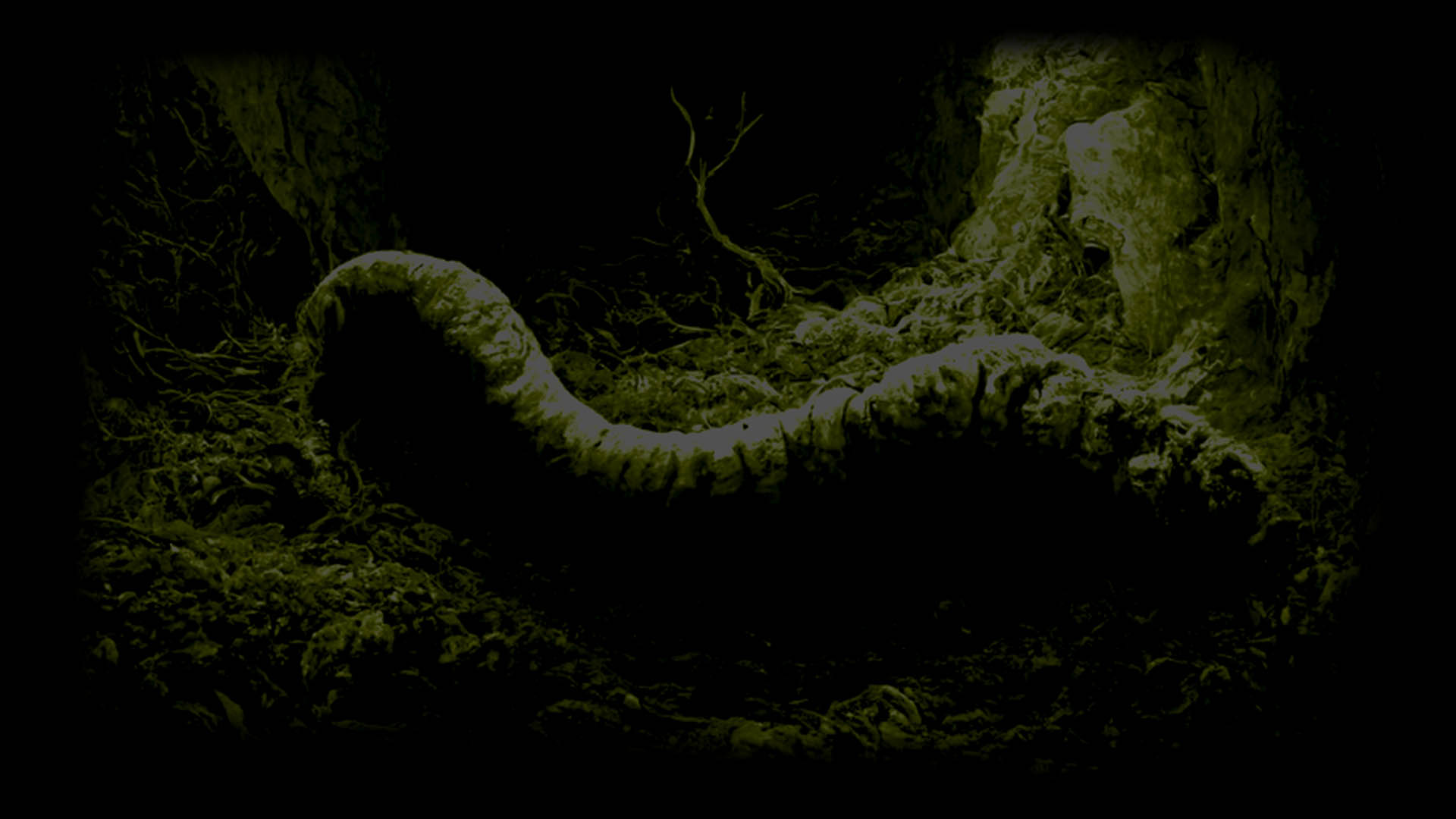 Mother Lair
