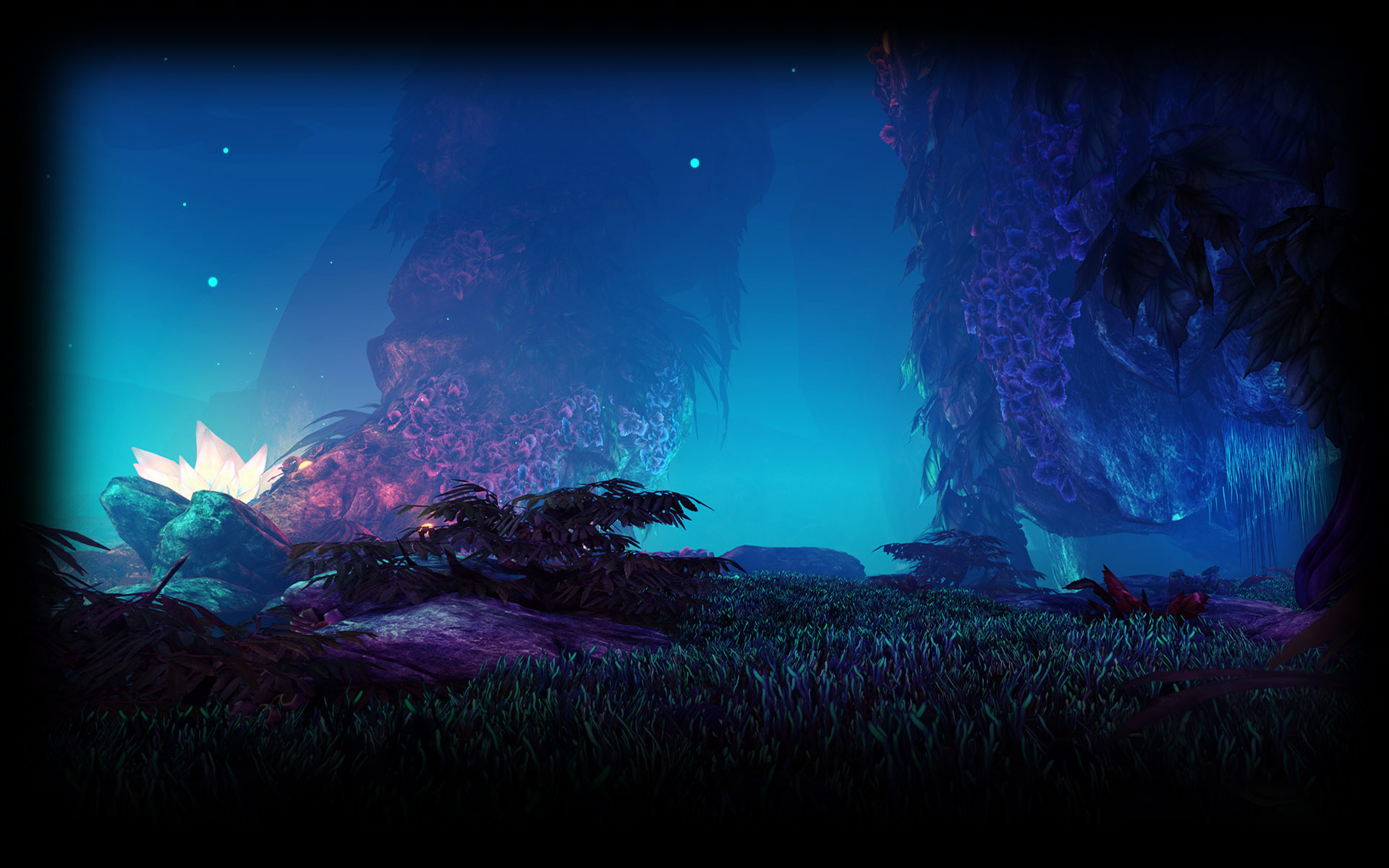 The Wilderness