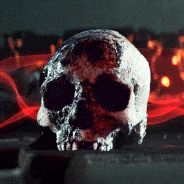 Skull