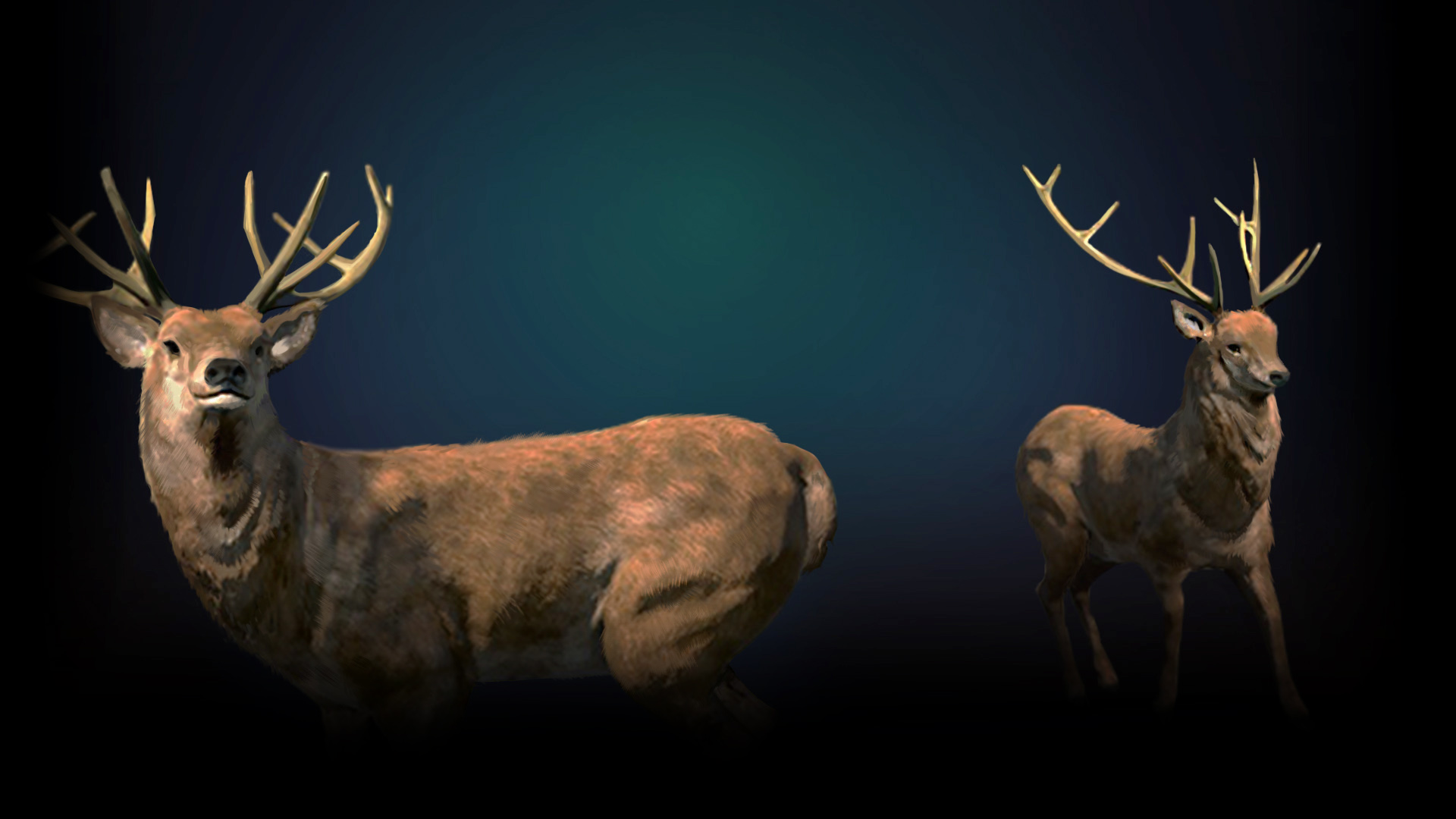 Deers