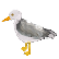 :seabirdWally: