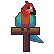 :rtfparrot: