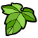 :SC1_Leaf: