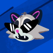 Racoon