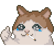 :1986cat: