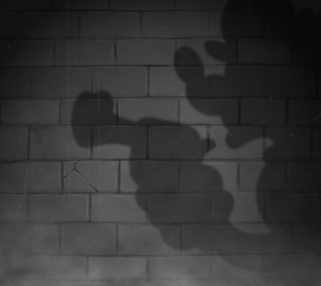 Jack Shadow