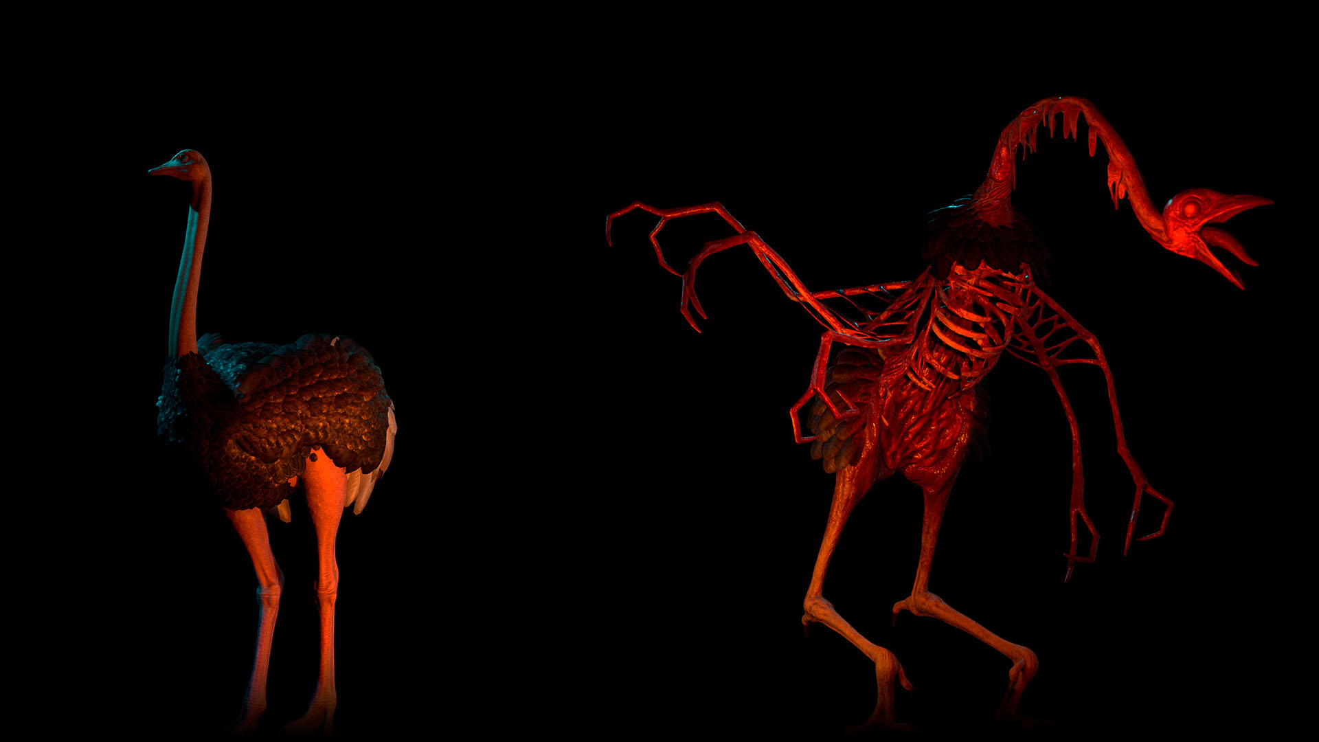 Ostrich