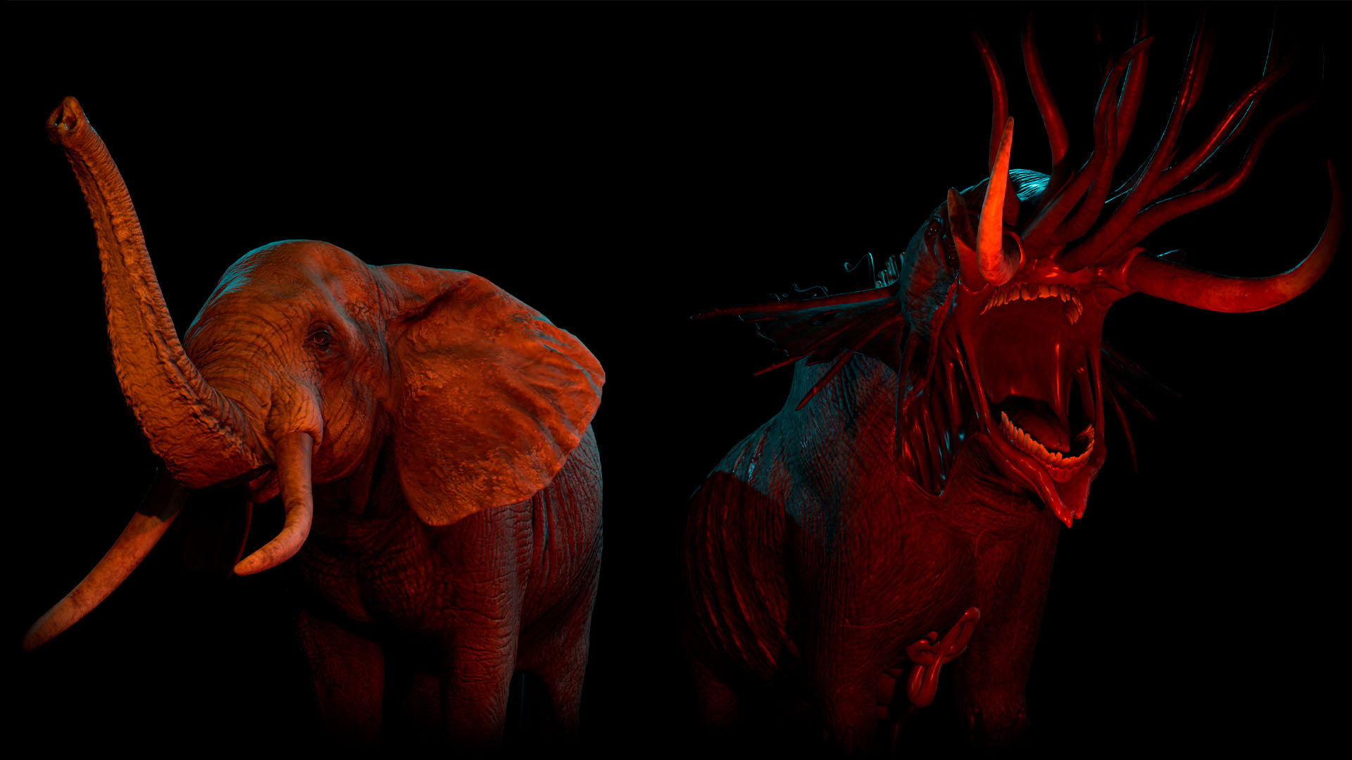 Elephant