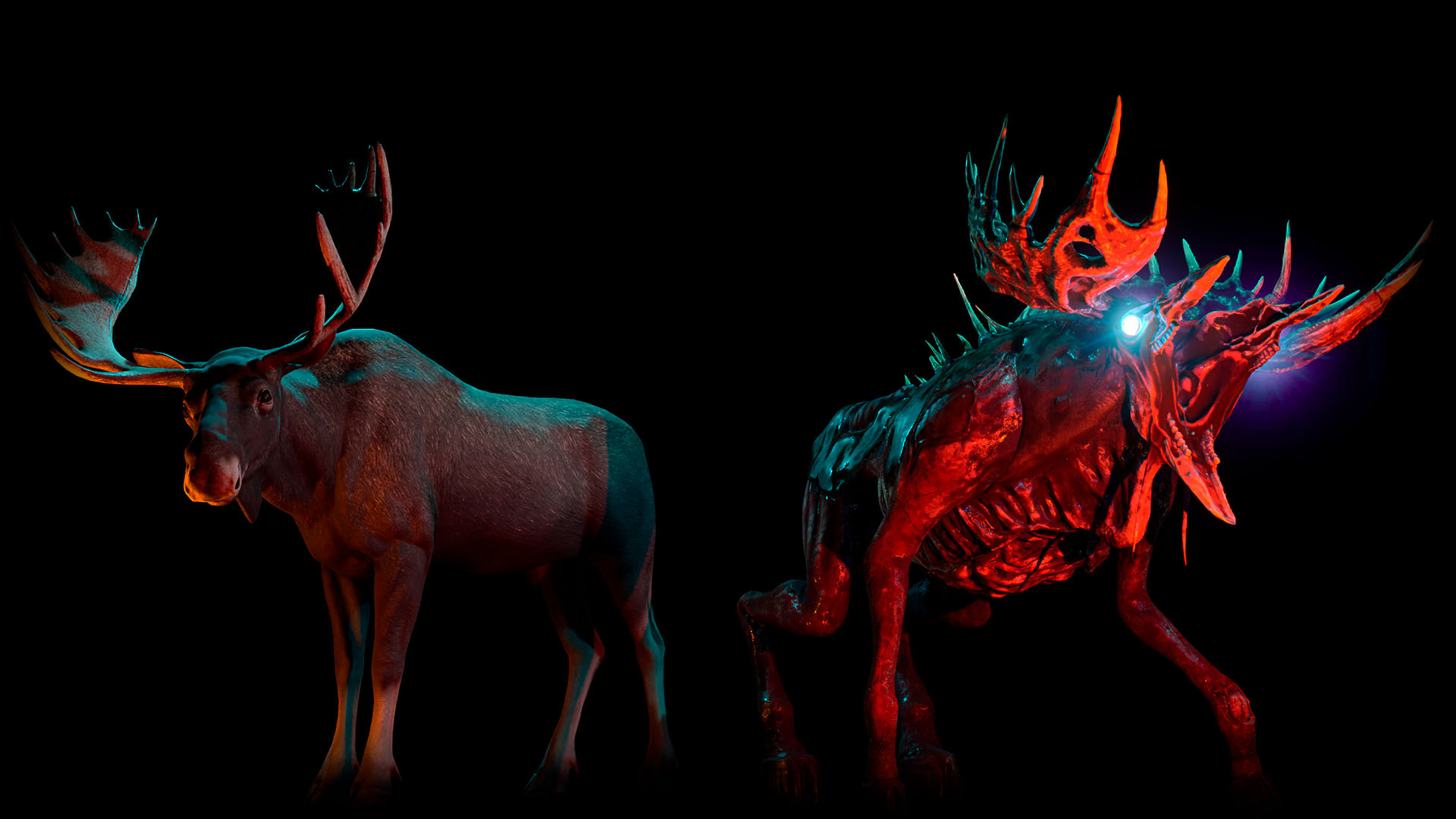 Moose