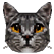 :pixelcat: