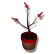 :redseedling:
