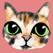 Cat Big Eyes
