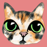 Cat Big Eyes