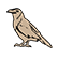 :woteraven: