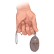 :firefly_tlou_ii:
