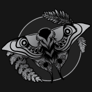 Moth