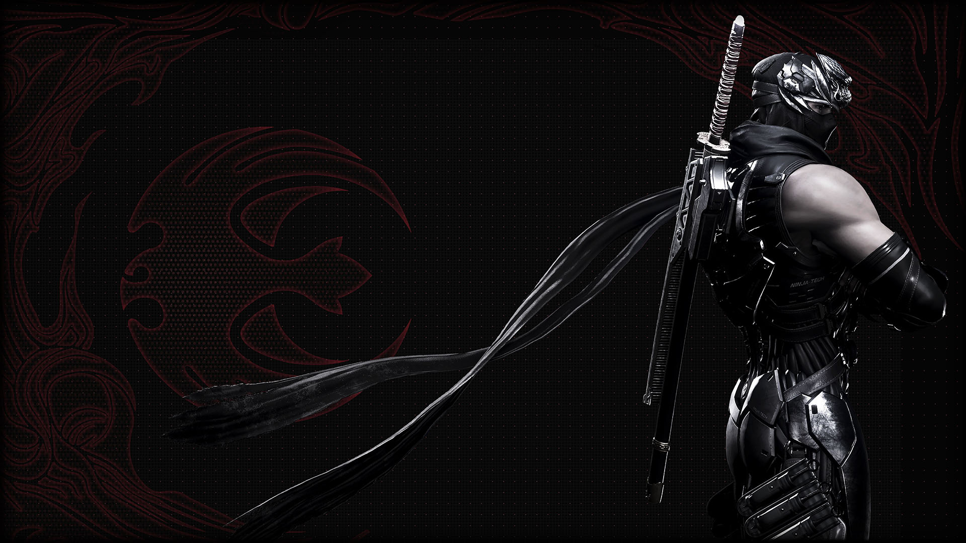 BACKGROUND RYU HAYABUSA