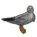 :resiseagull: