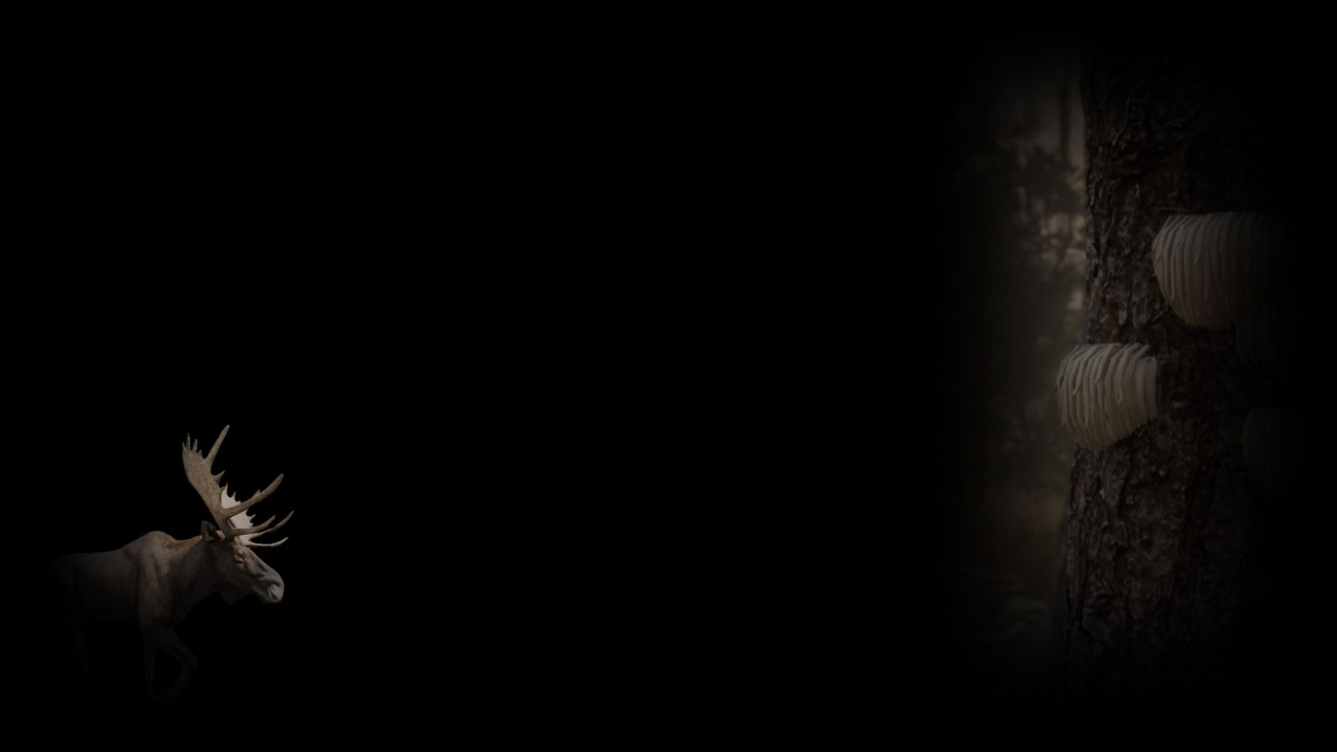 Moose Background