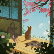 Dreamy Cats