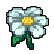 :DreamFlower: