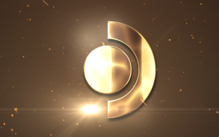 Harry Potter: Quidditch Champions Snitch Startup