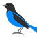 :oriole: