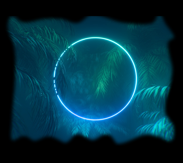 Second Animated Miniback
