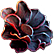 :Oblivion_Flower: