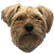 :Timophey:
