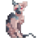 :knautkitty: