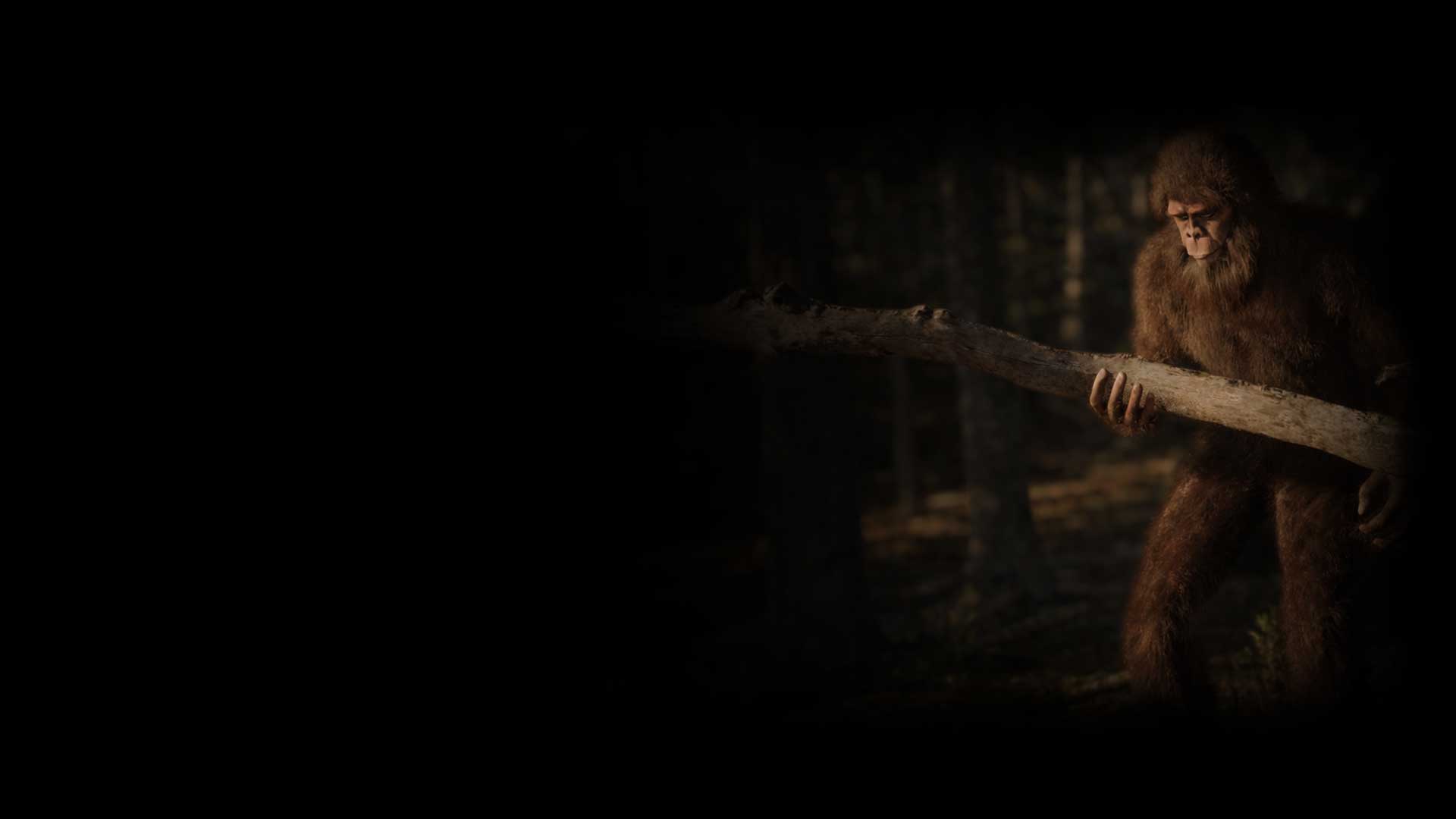 Strength in the Woods