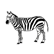 :zoozebra: